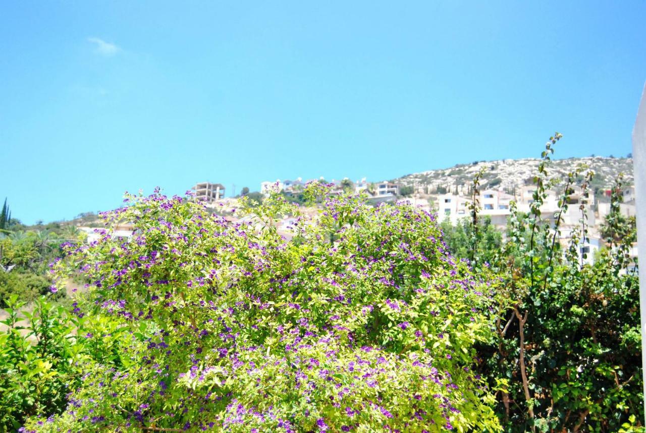 Pegia Villa Peyia Extérieur photo